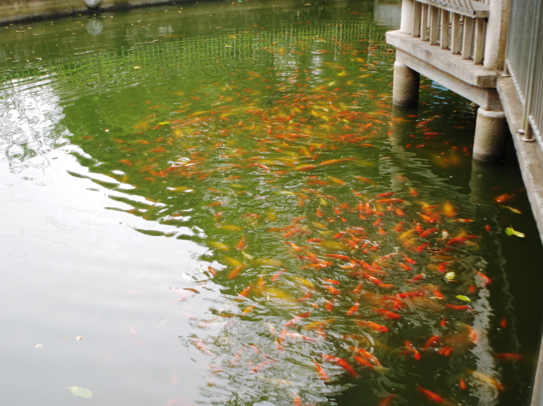泮坑风景区-梅州市必去景点