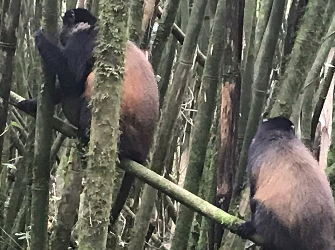 Nature Expeditions Africa-吉佳利必去景点