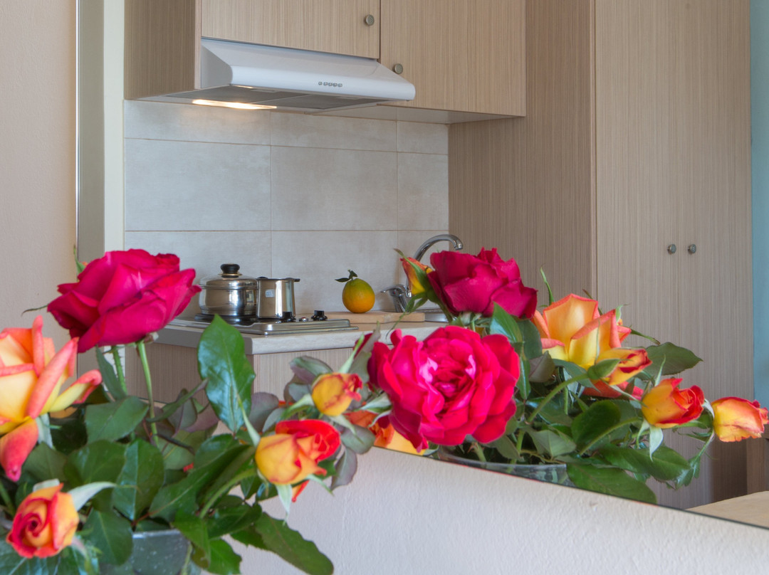 Tolon Beach Hotel主图