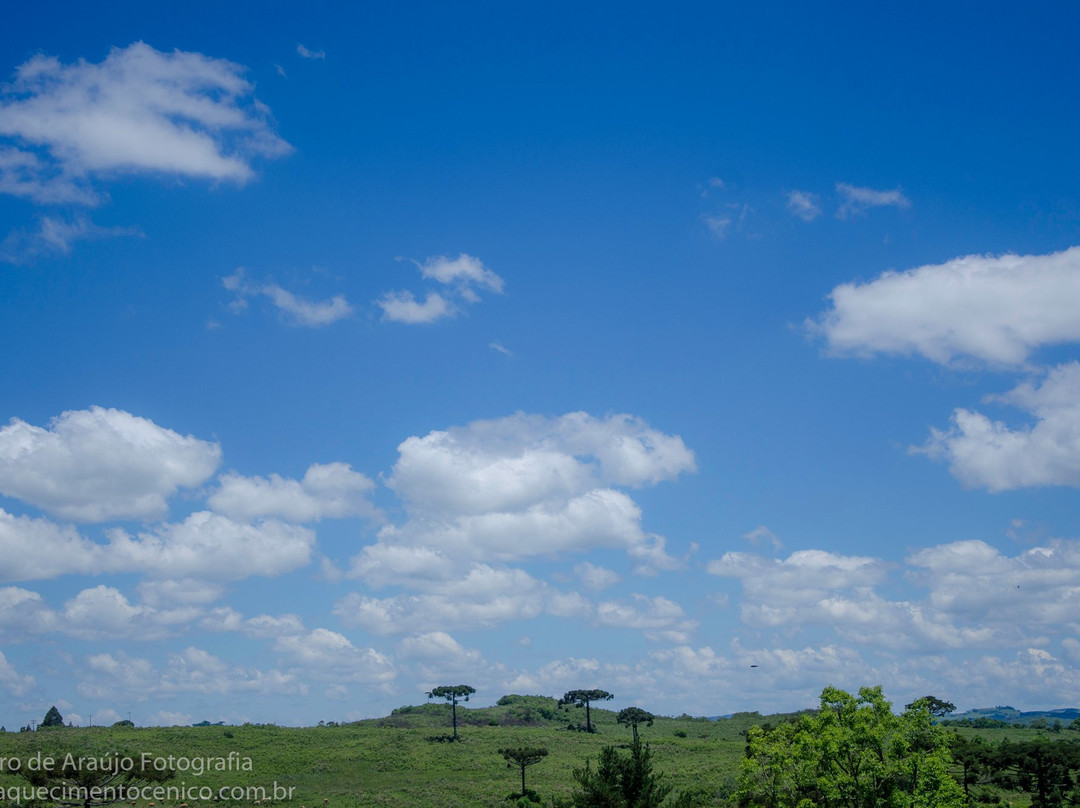 Memorial Os Bertussi-南卡希亚斯必去景点