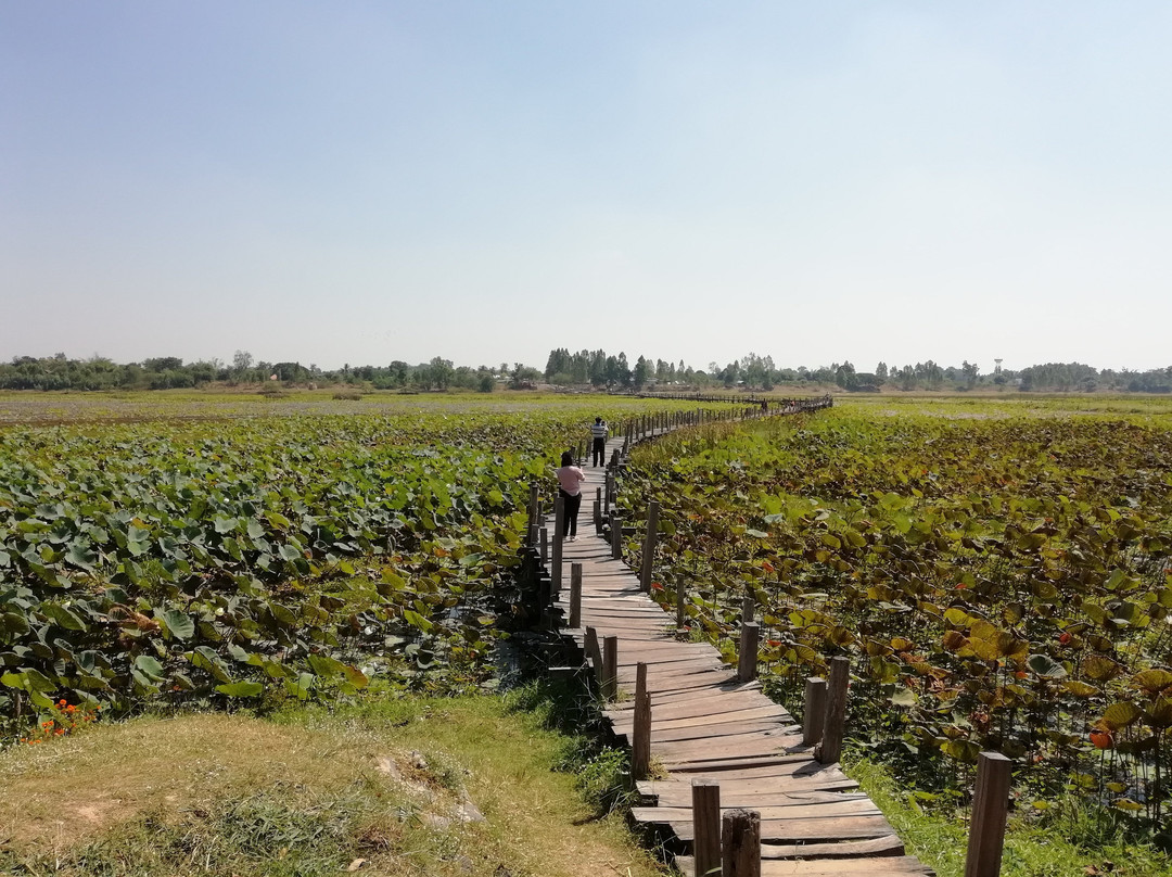 那坡旅游攻略图片