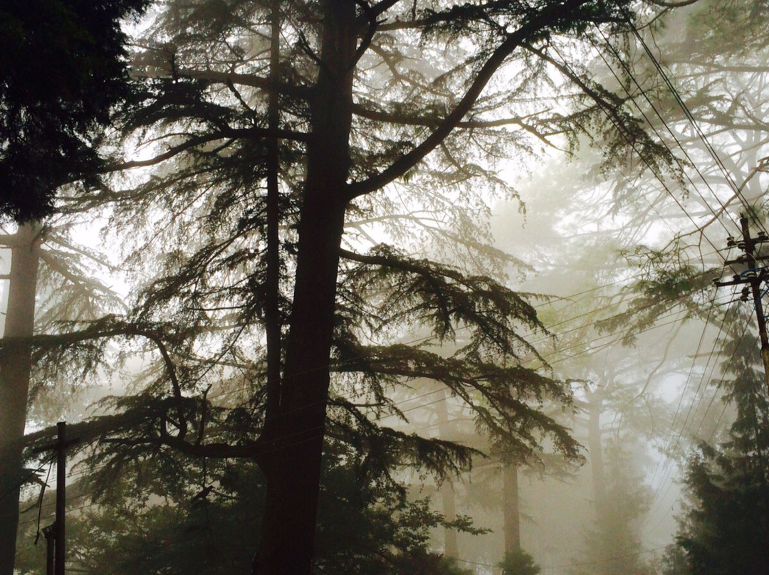 Manki Point - Hanuman Temple-Kasauli必去景点