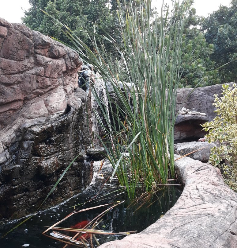 Cosmos Cuisine主图