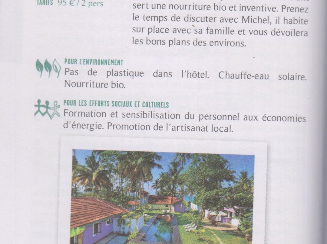 Turtle Eco Beach主图