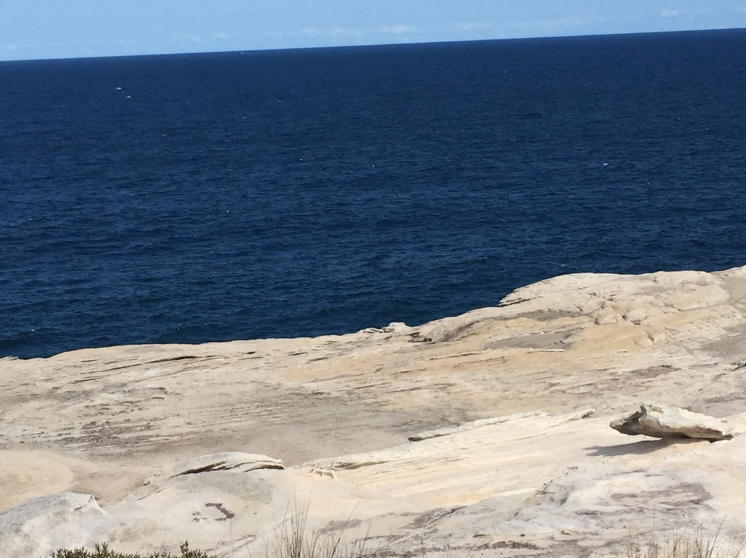 Kamay Botany Bay National Park景点图片