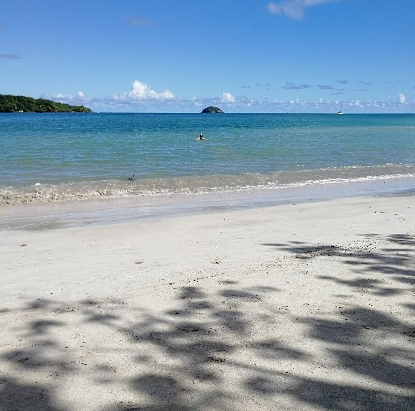 Plage des Raisiniers-La Trinite必去景点