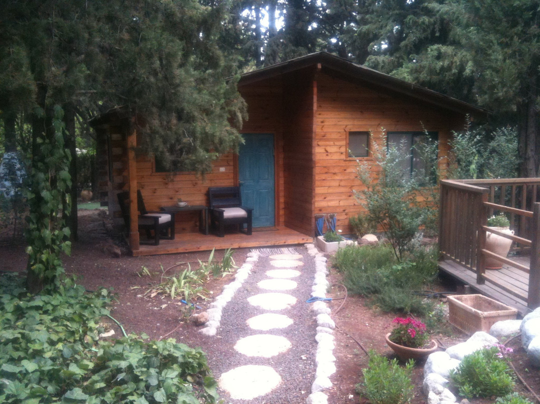 Aley Galil - wooden cabins in the forest主图