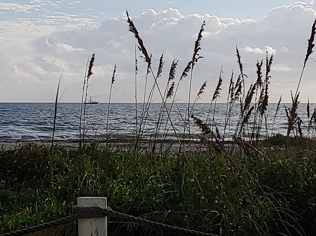 Beach Island Resort主图