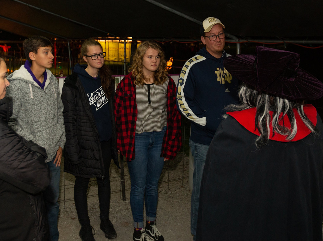 The Haunted Castle and Black Forest-韦恩堡必去景点