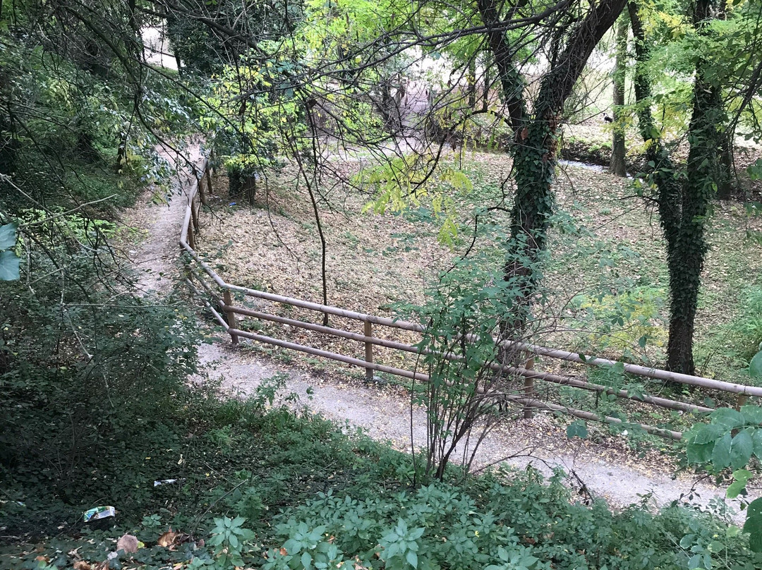 Parco Desenzani景点图片