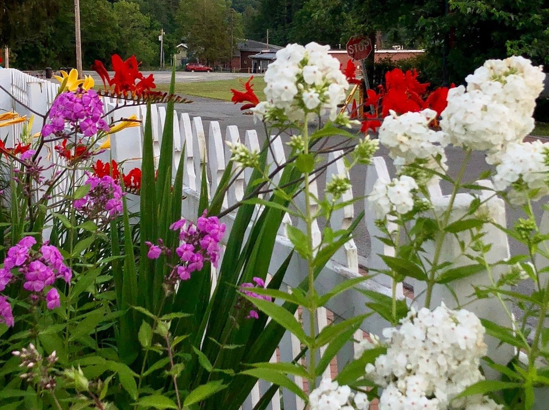 The Azalea Inn Bed and Breakfast主图