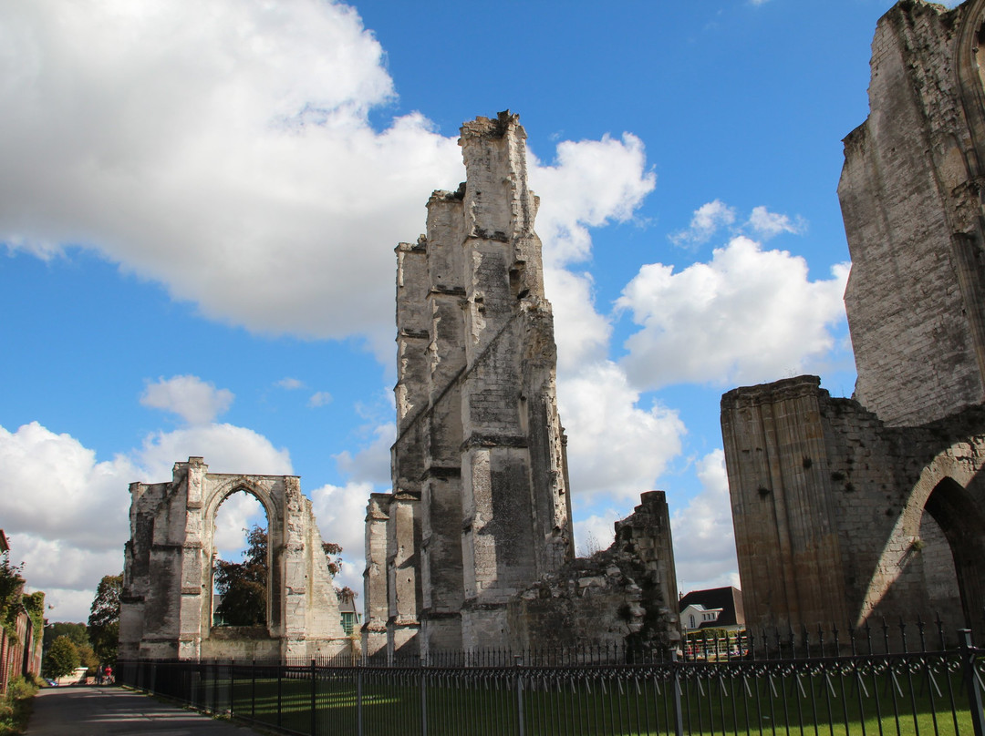 Ruines de l'Abbaye Saint-Bertin景点图片