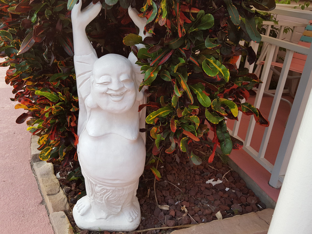 Tropical Manor主图