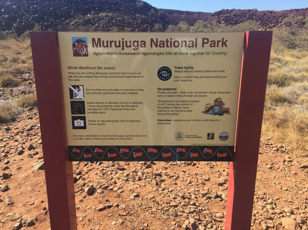 Experience Murujuga-Dampier必去景点