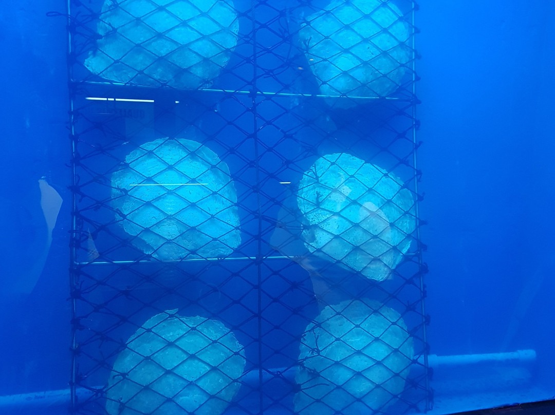 Amorn by Phuket Pearl Group-普吉岛必去景点