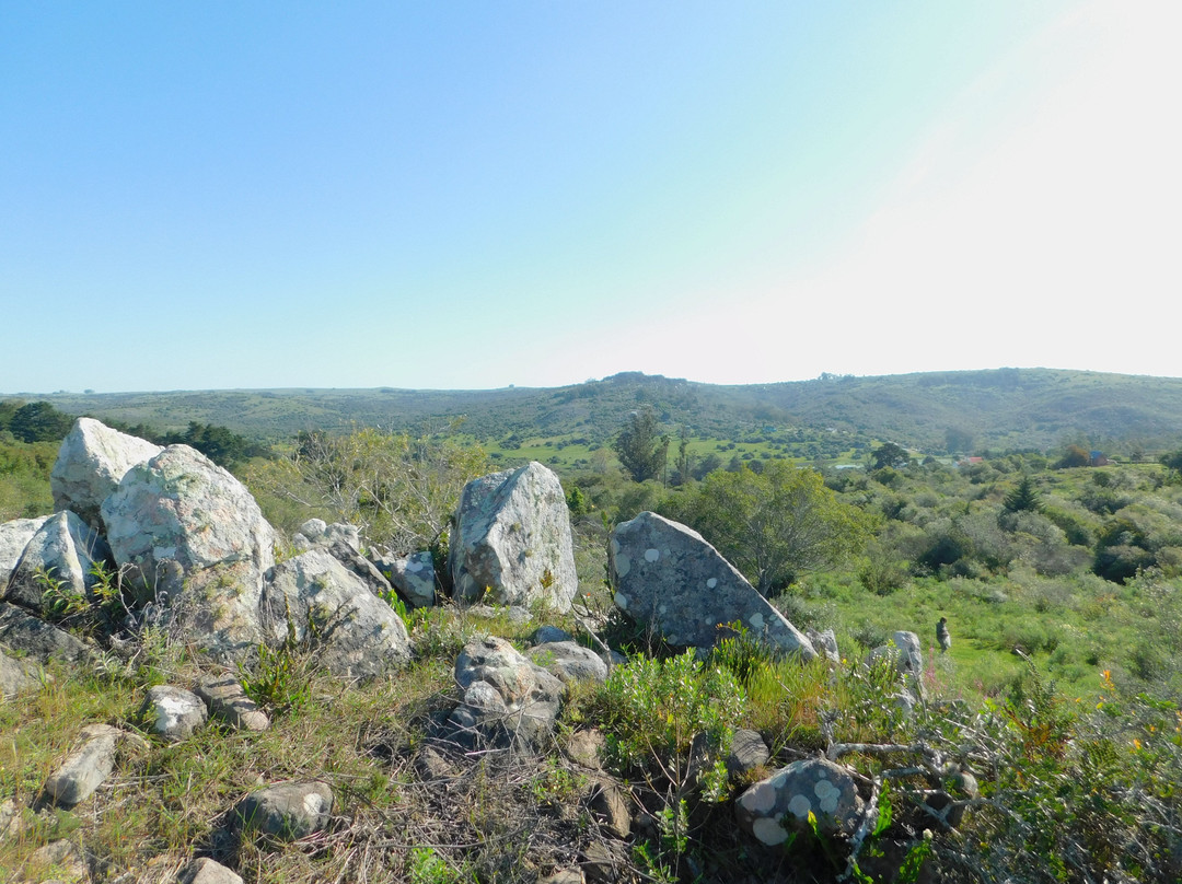 La Calaguala Hostel主图