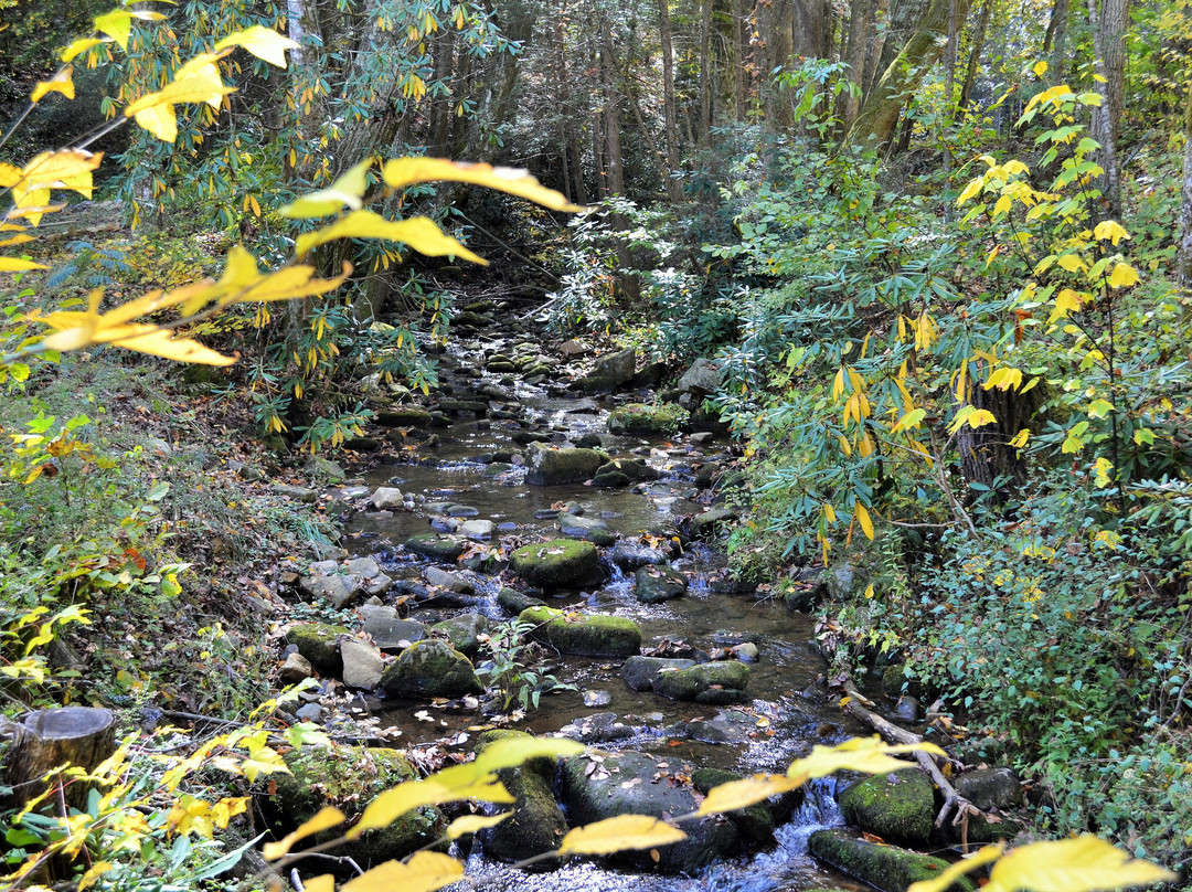 Carson Springs Baptist Conference Center主图