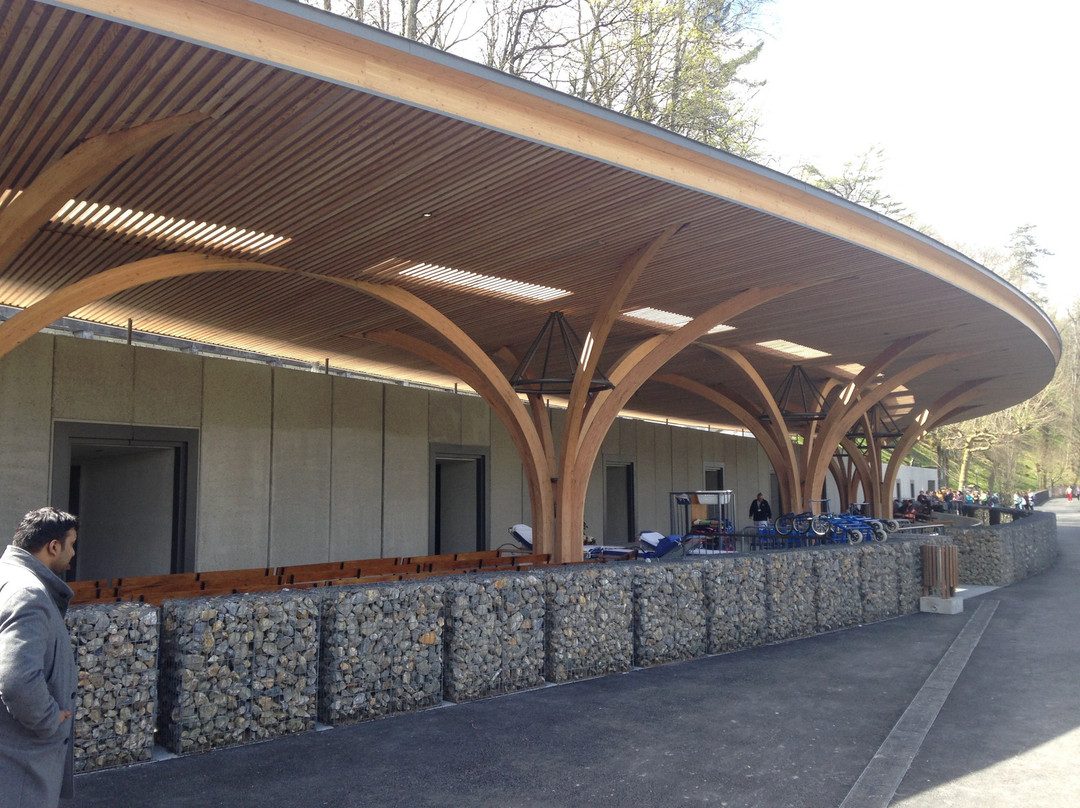 France Top Tours-图卢兹必去景点