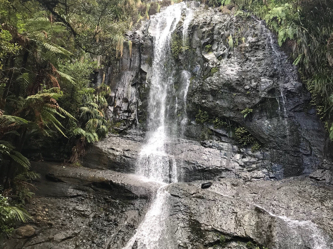 Fairy Falls-奥克兰必去景点