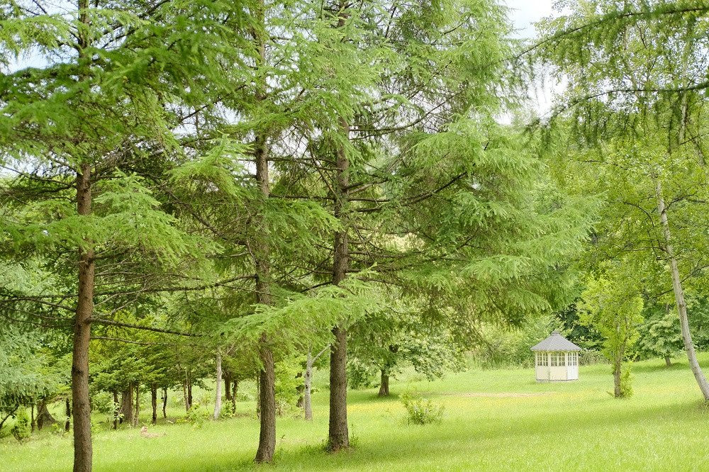 Little Rock Hills-岩见泽市必去景点