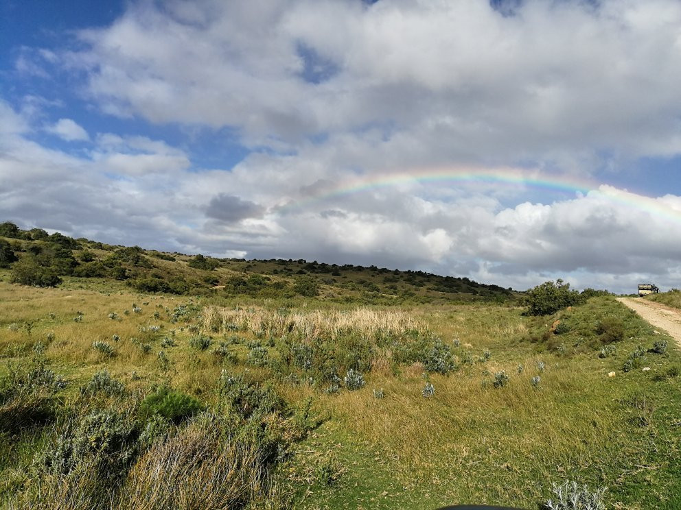 Zee's Cape Tours-Kraaifontein必去景点