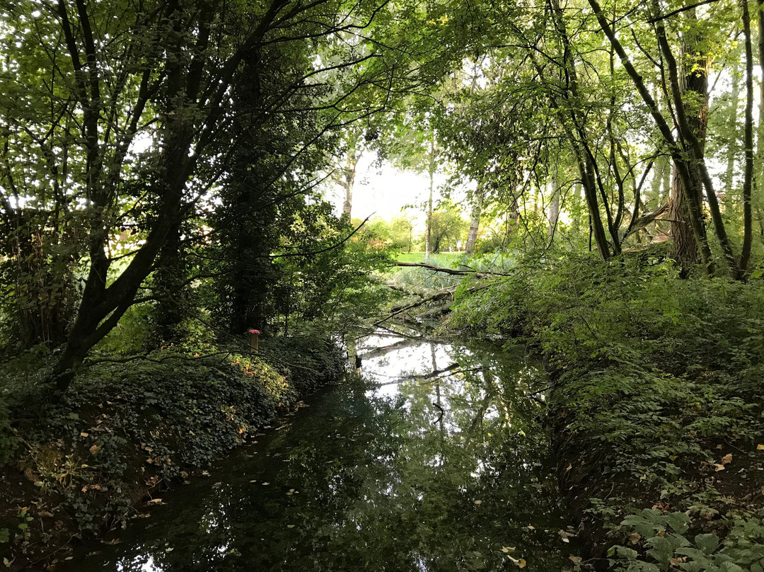 Zoetermeer旅游景点-Westerpark