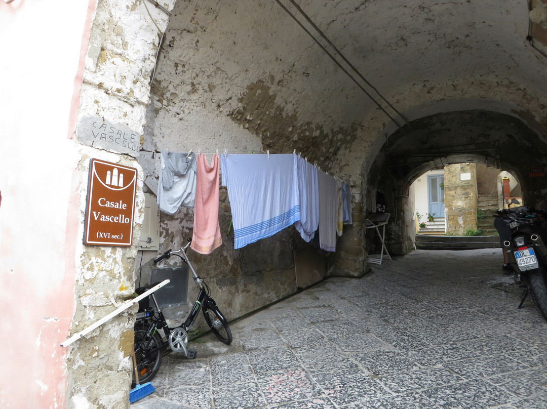 Piazza dei Martiri (Semmarezio)-普罗奇达必去景点