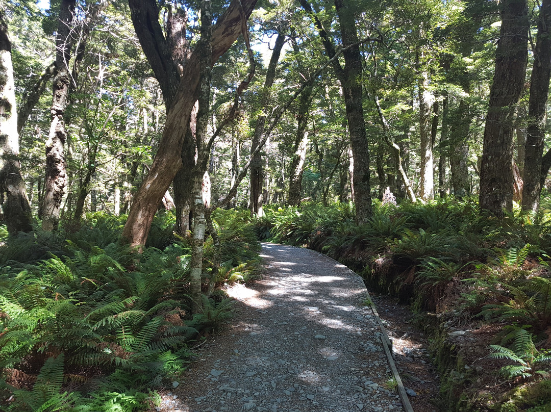 Queenstown Guided Expeditions-皇后镇必去景点