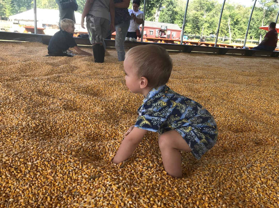 Fair Weather Acres-罗基希尔必去景点