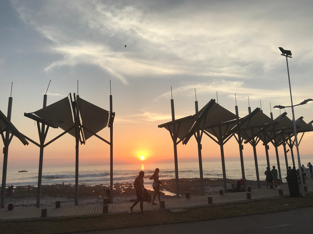 Rental Bike Iquique-伊基克必去景点