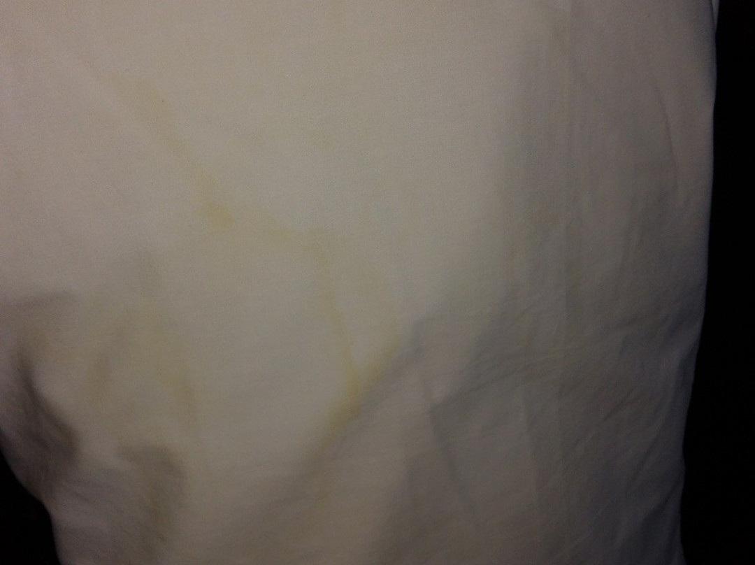 Maison Tait House主图