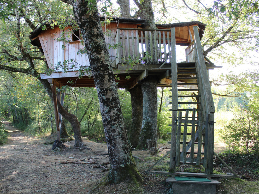 Les Cabanes de Chanteclair主图