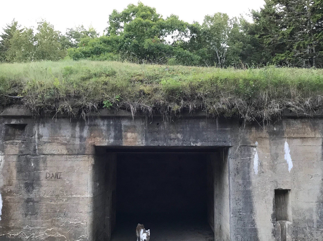 Fort Baldwin State Historic Site景点图片