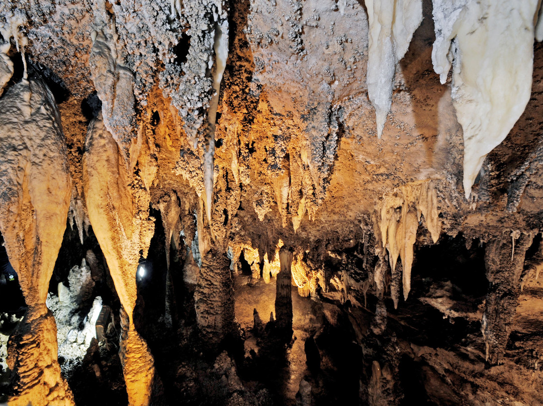 Grotta Turistica Antro del Corchia景点图片