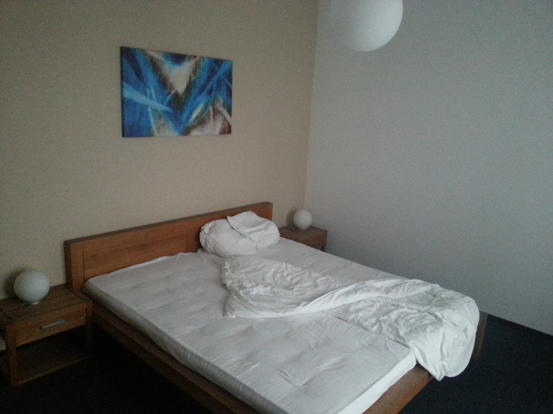 Hotel Lions Plzen主图