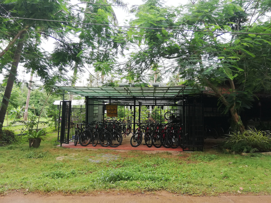 Koh Mak Information & Bike Rental-玛岛必去景点