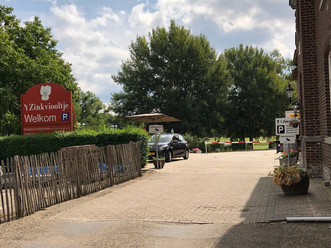 't Zinkviooltje
