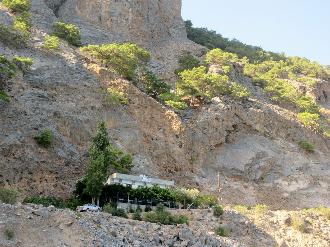 Sweet Corner Masxali主图