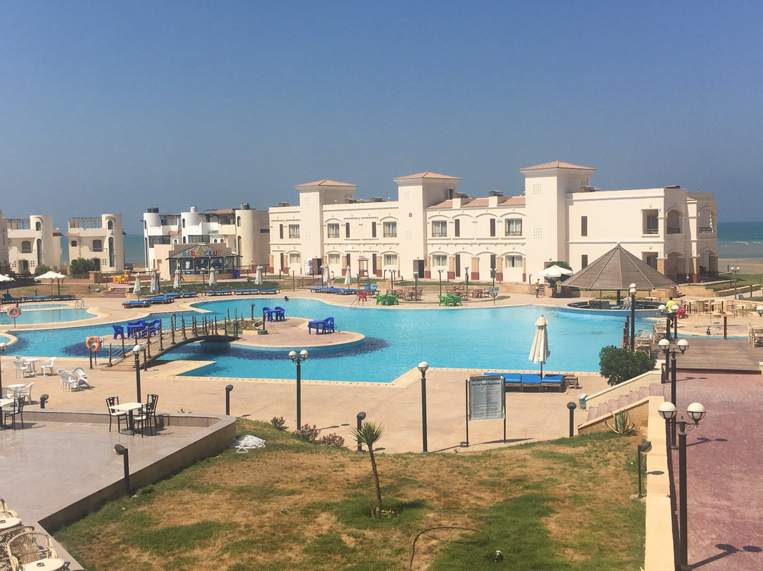 Palm Beach Safari Egypt主图