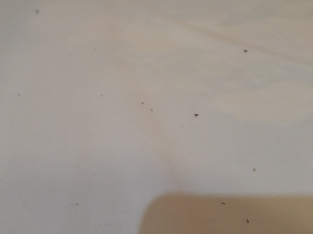 Rimkaeng Resort主图