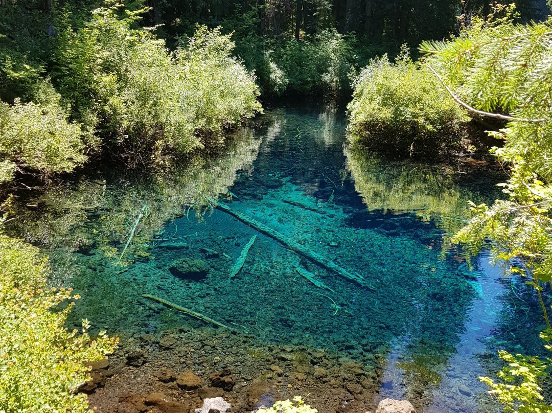 Clear Lake景点图片