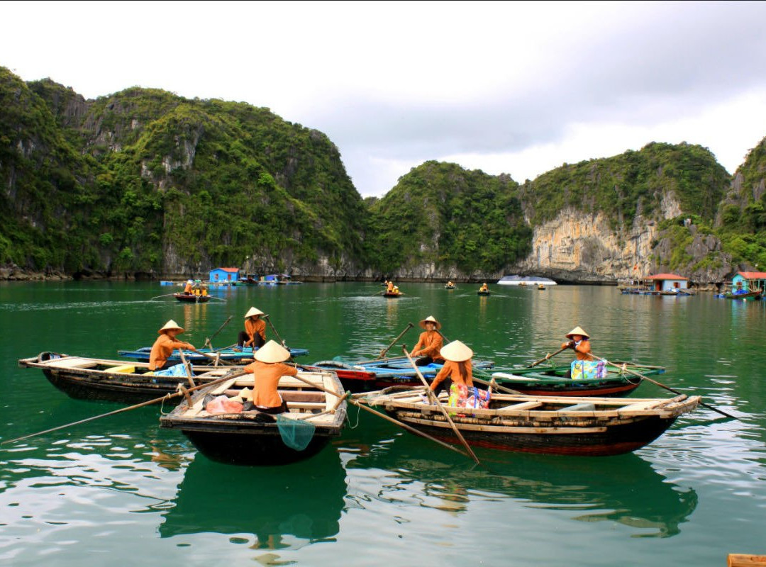Sails of Indochina景点图片