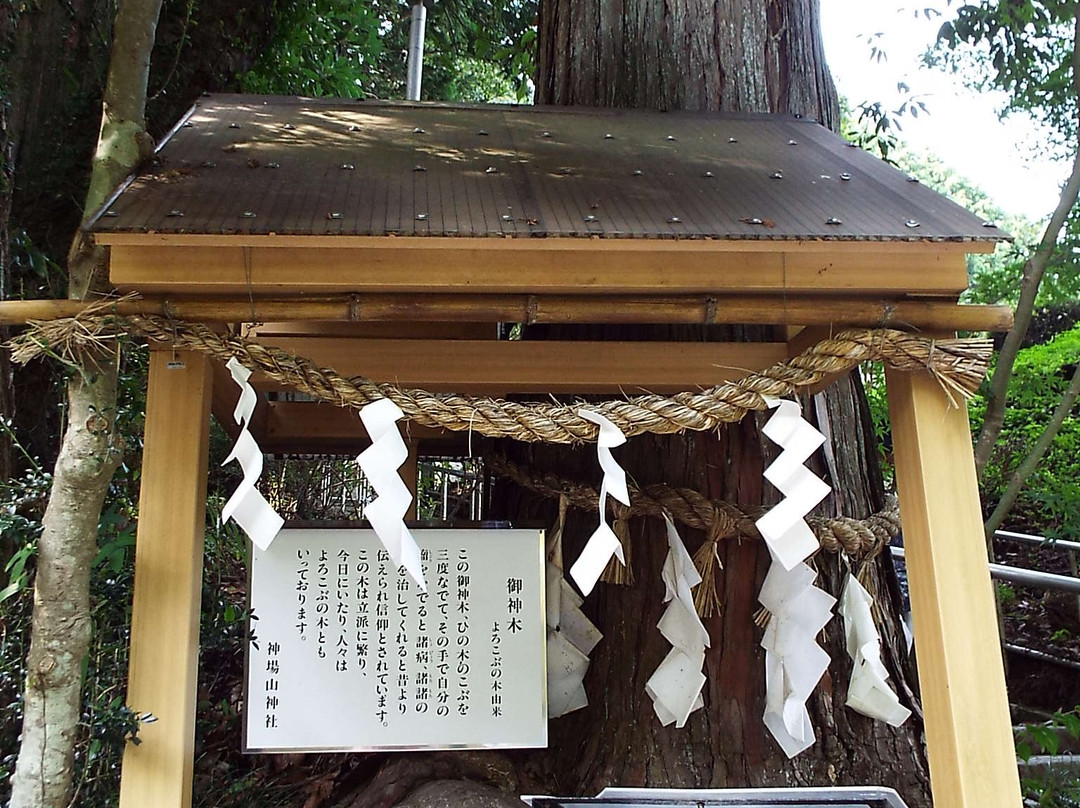 Jinbayama Shrine景点图片