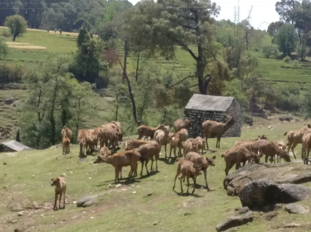 Dhauladhar National Park景点图片