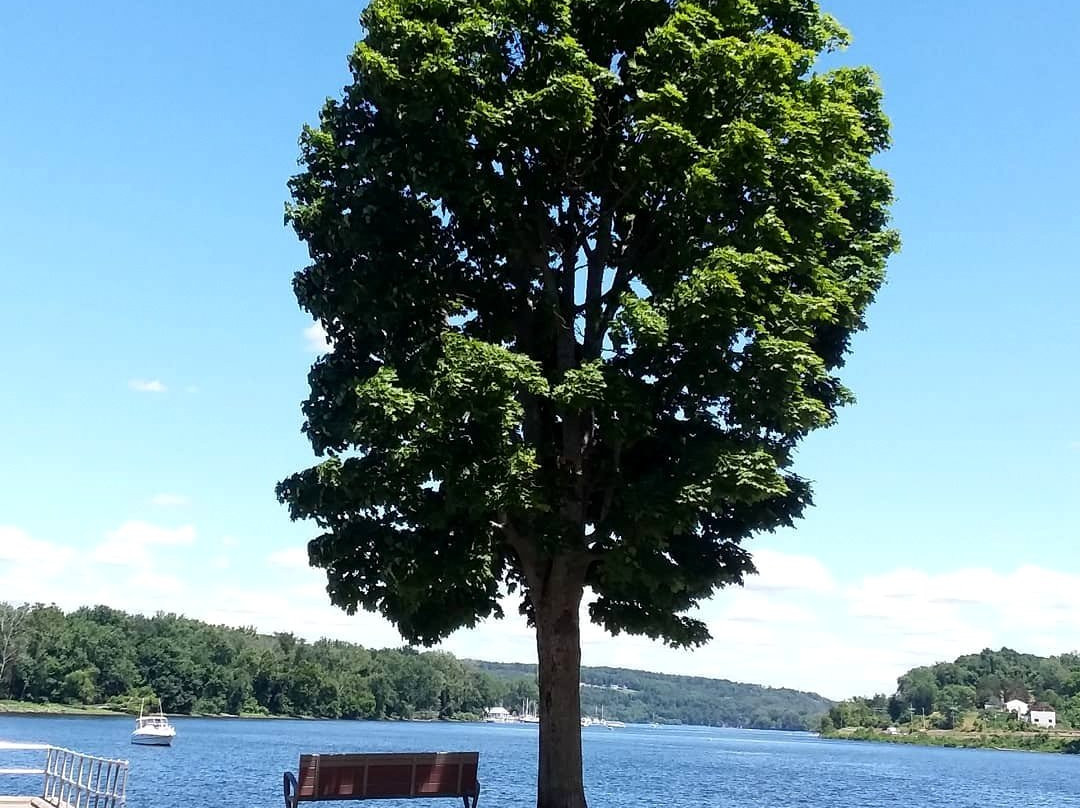 Harbor Park-米德尔敦必去景点