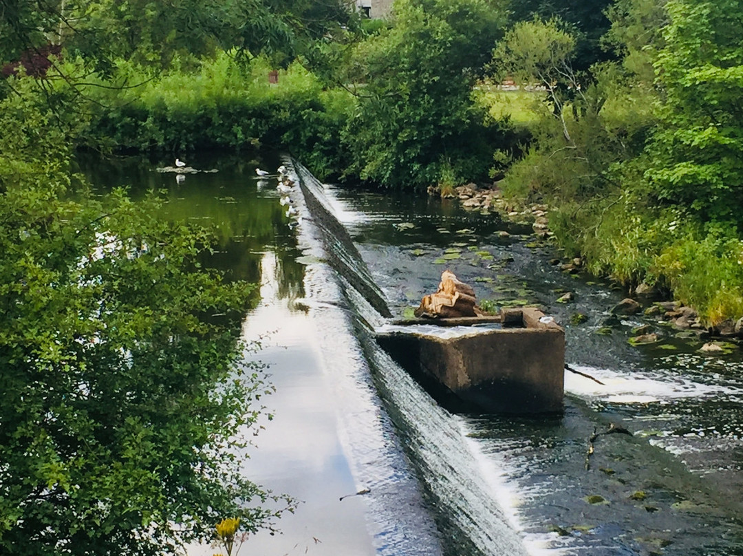 Almondell & Calderwood Country Park-Broxburn必去景点