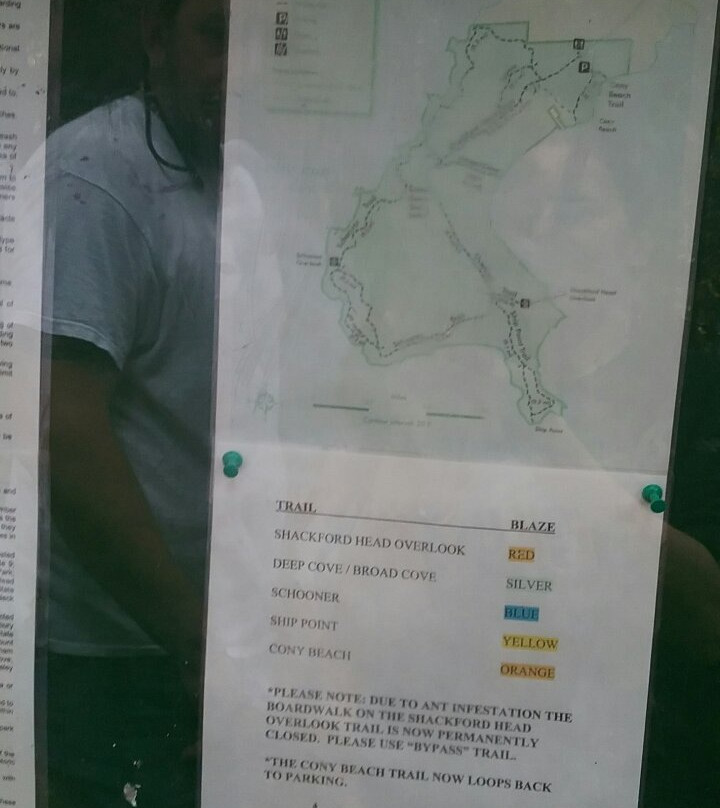 Shackford Head State Park景点图片