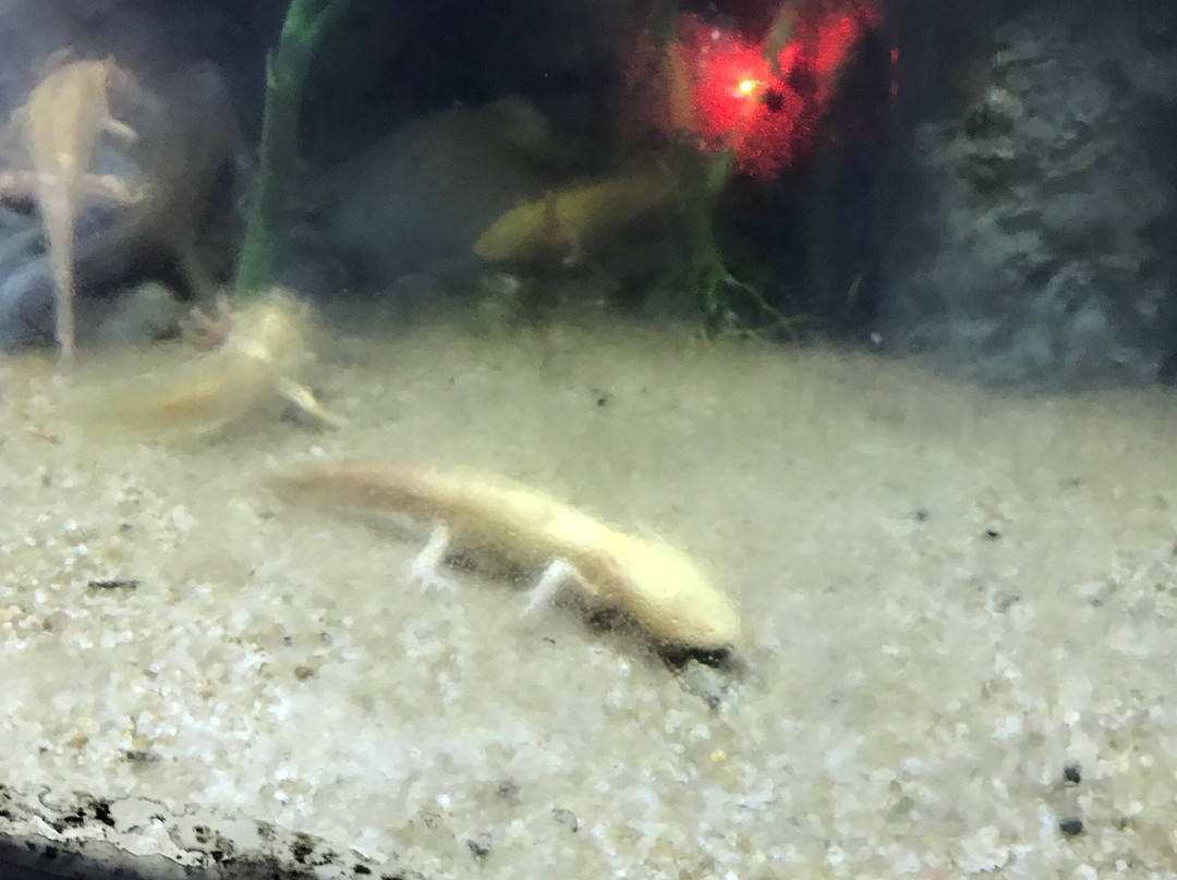 合肥汉海极地海洋世界-合肥市必去景点