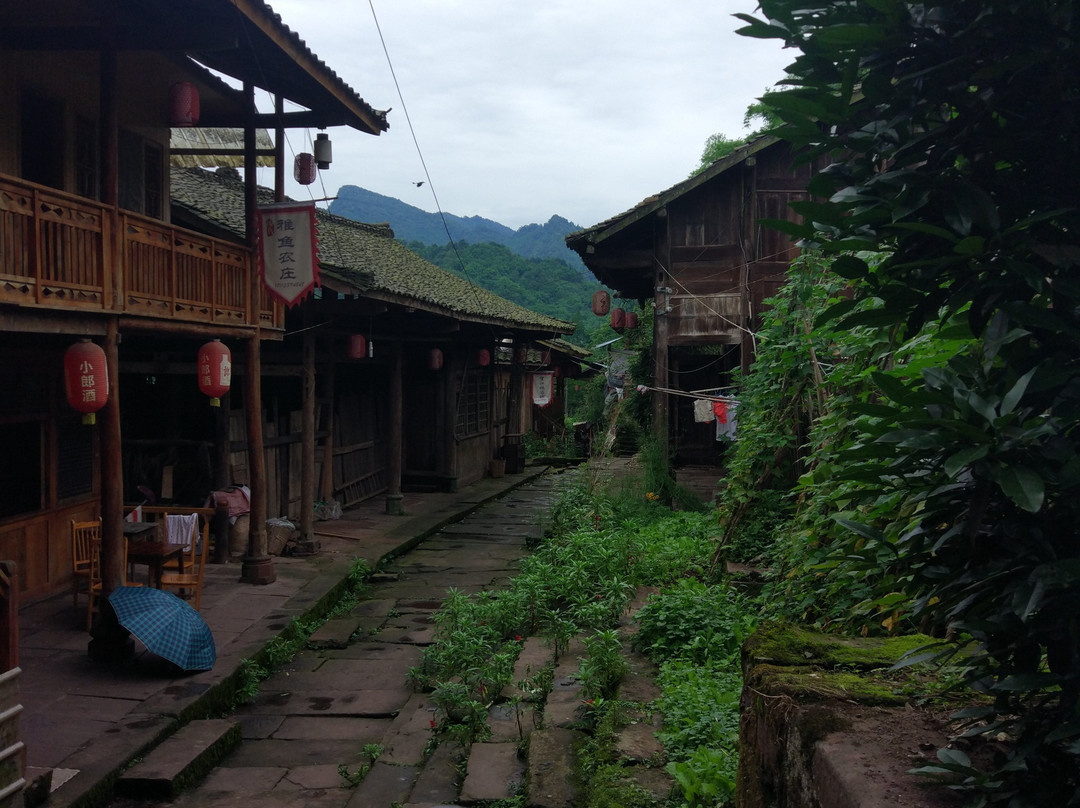 望鱼古镇-雅安市必去景点