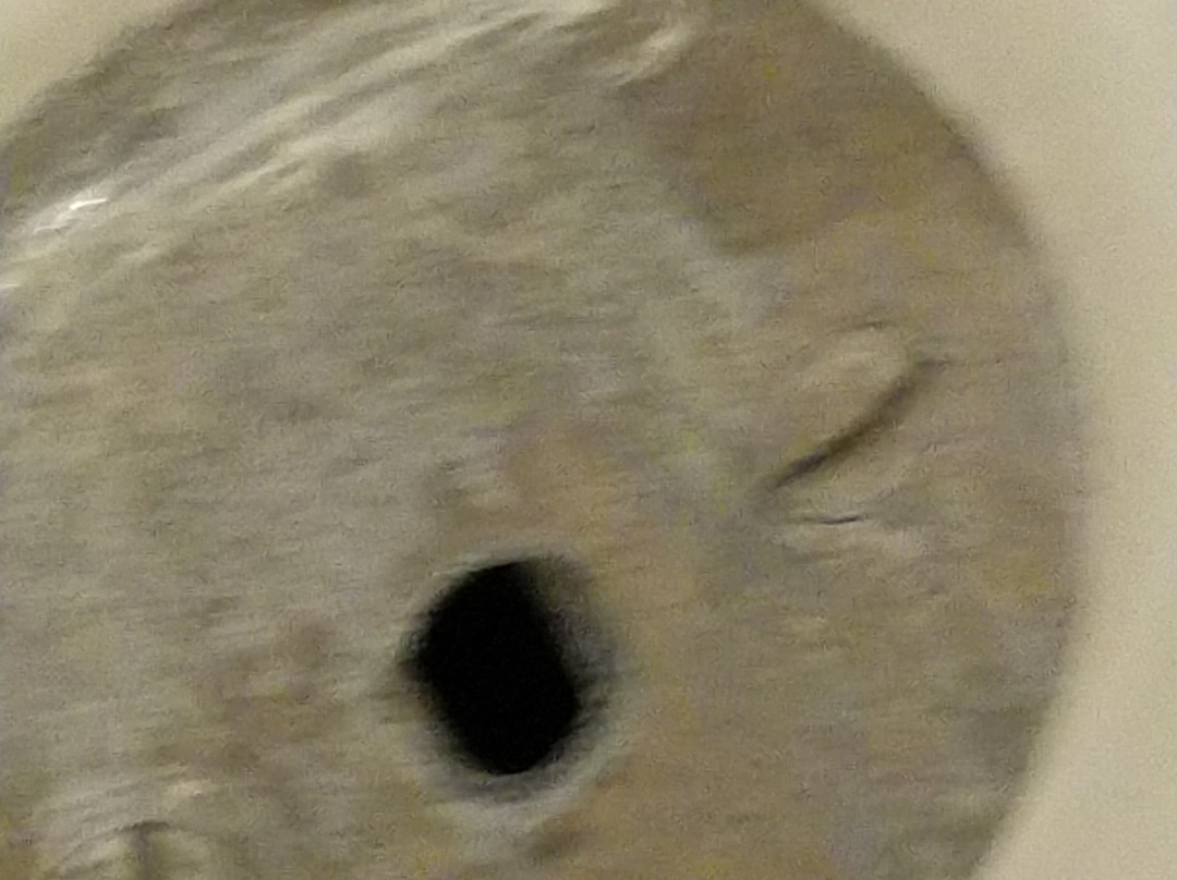 Travelodge by Wyndham Evanston主图